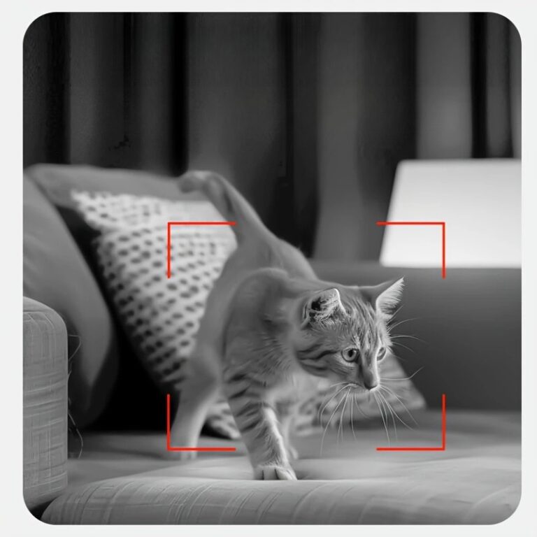 c5198a88-0e15-48cd-a64e-b71efd9bb77e