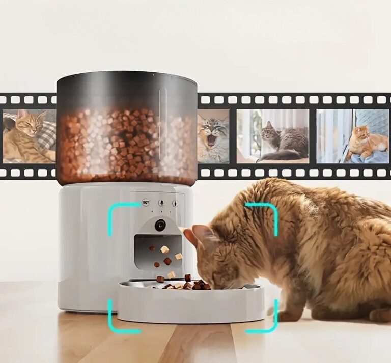 d1513cc5-b8d9-41d2-8c3d-27421c0e54ea